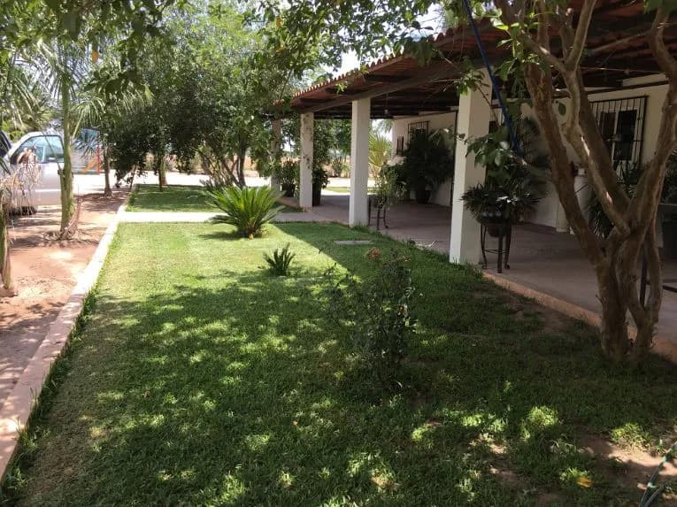 Galería 6