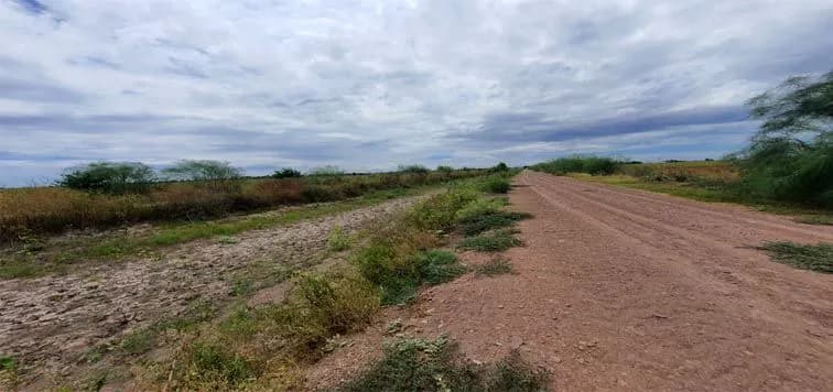 Galería 2