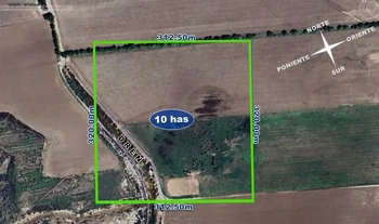 9_2455 | 10 hectareas uso agricola  Zaratajoa Bacahui, Guasave, Sinaloa | BIENES&RAICES MORENO Y ASOCIADOS INMOBILIARIA