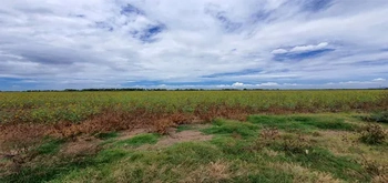 13_2692 | En Venta excelente Predio Agrícola, San Miguel Zapotitlán. | BIENES&RAICES MORENO Y ASOCIADOS INMOBILIARIA