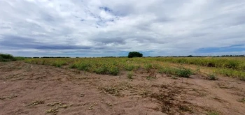 13_2691 | En Venta excelente Predio Agrícola, San Miguel Zapotitlán. | BIENES&RAICES MORENO Y ASOCIADOS INMOBILIARIA
