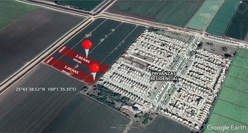 13_1582 | En Venta excelente Predio Agroindustrial, Ejido 9 de Diciembre. | BIENES&RAICES MORENO Y ASOCIADOS INMOBILIARIA