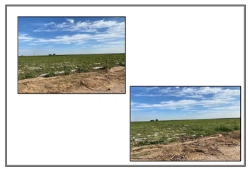 14_2270 | TERRENO RUSTICO PREDIO SANTA ROSA | BIENES&RAICES MORENO Y ASOCIADOS INMOBILIARIA